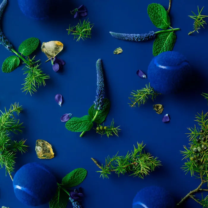 Perfume Lacoste L.12.12 Magnetic EDT