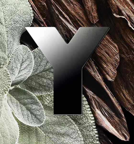 Perfume Yves Saint Laurent For Men EDT