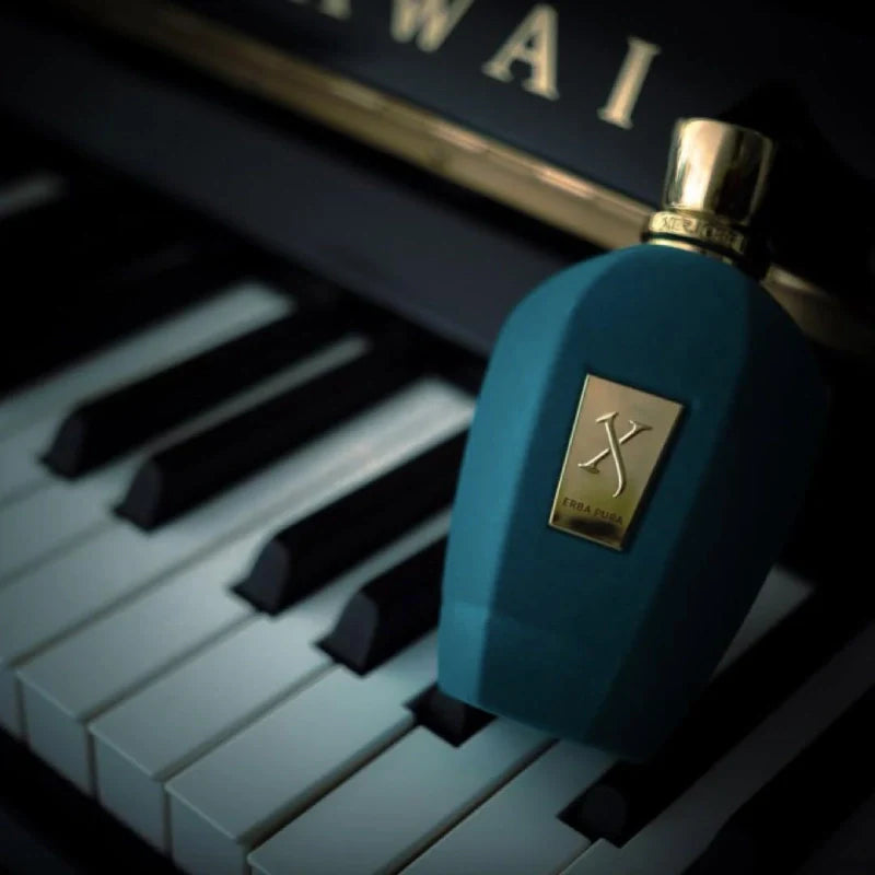 Perfume Xerjoff Erba Pura EDP