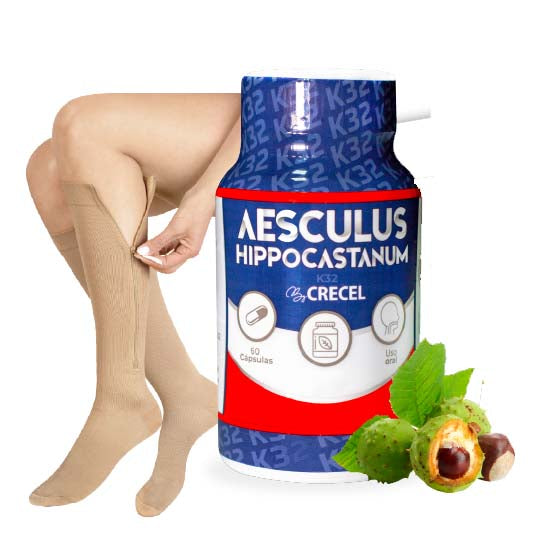 Castaño de Indias K32 - Aesculus Hippocastanum